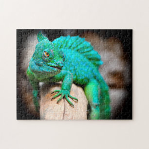 Green Iguana Close-up, Jigsaw Puzzle