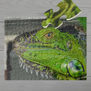Green Iguana Close-up Photographic Jigsaw Puzzle