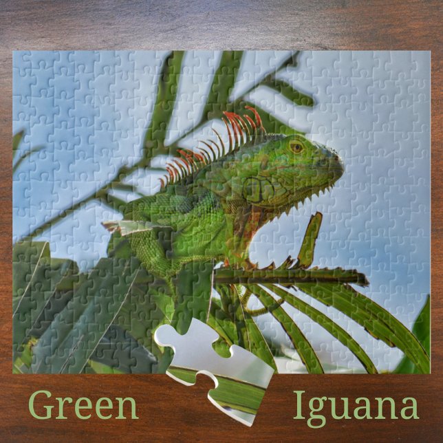 Green Iguana in a Palm Tree Photographic Jigsaw Pu Jigsaw Puzzle (Creator Uploaded)