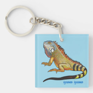 green iguana key ring