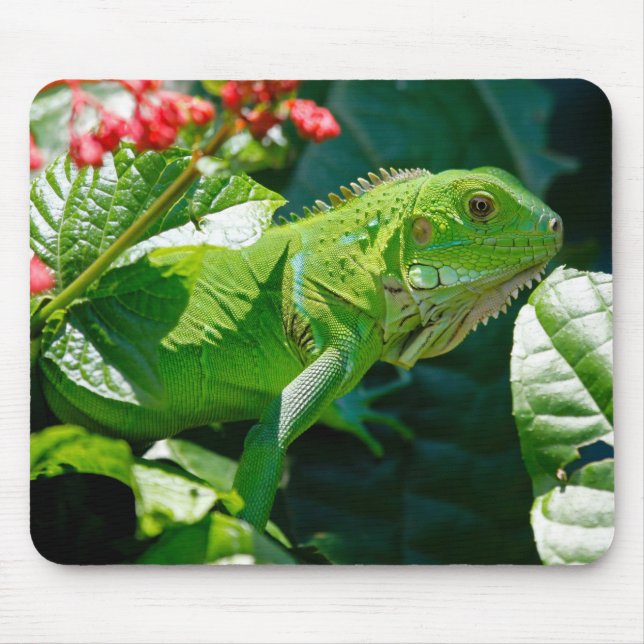 Green Iguana Lizard Mouse Mat (Front)