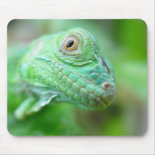 Green Iguana Lizard Reptile On Leaf Mousepad