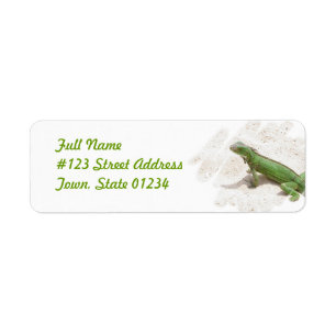 Green Iguana Lizard Return Address Label
