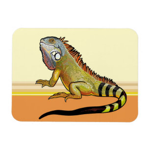 green iguana magnet