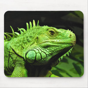 Green Iguana Mouse Mat