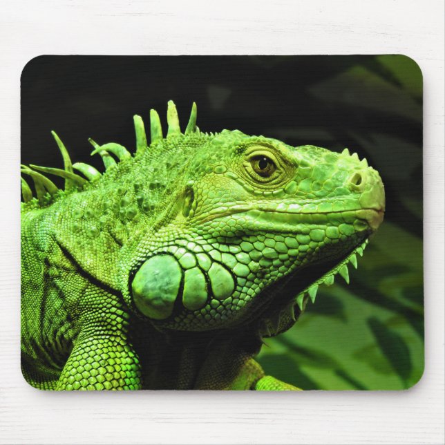 Green Iguana Mouse Mat (Front)