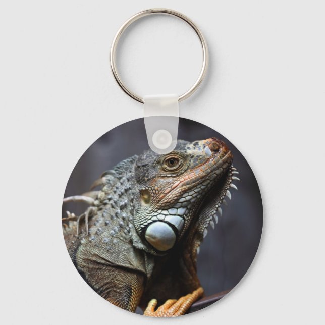 Green iguana portrait key ring (Front)