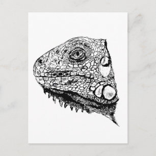 Green iguana postcard