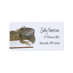 Green Iguana Return Address Label Template