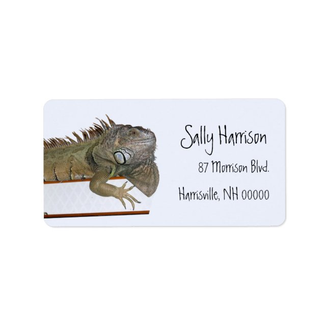 Green Iguana Return Address Label Template (Front)