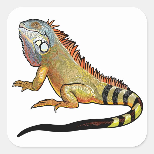 green iguana square sticker (Front)