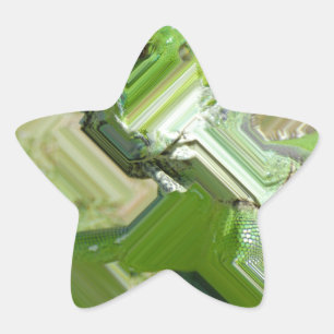 Green Iguana Star Sticker