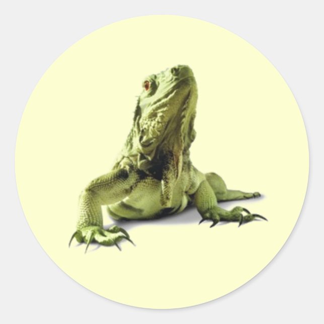 Green Iguana Stickers (Front)