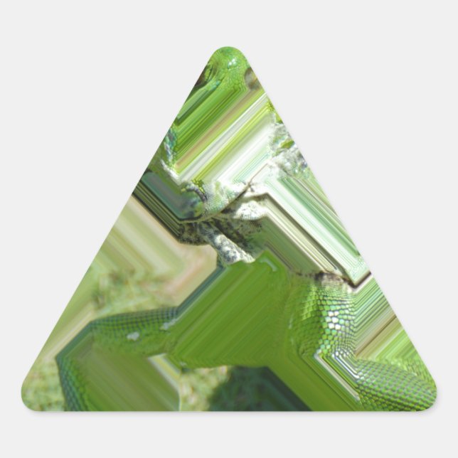 Green Iguana Triangle Sticker (Front)