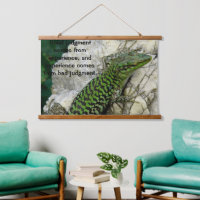 Green iguanas on a rock