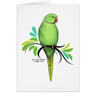 Green Indian Ringneck Parrot