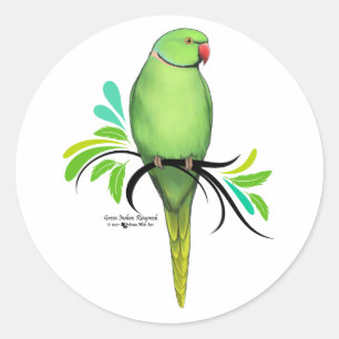 Green Indian Ringneck Parrot Classic Round Sticker