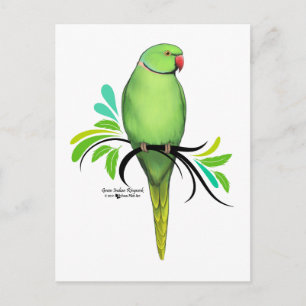 Green Indian Ringneck Parrot Postcard