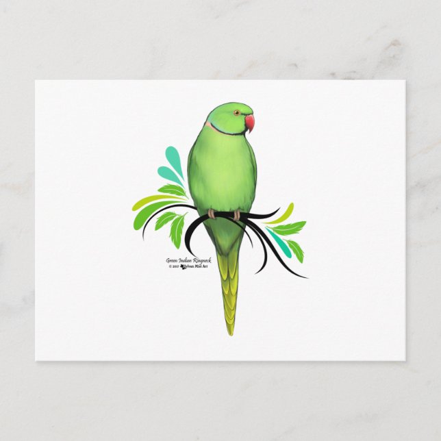 Green Indian Ringneck Parrot Postcard (Front)