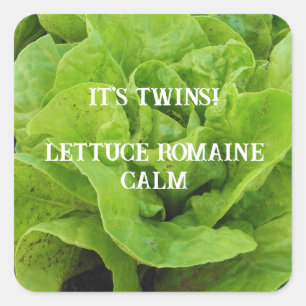 Green It's Twins Lettuce Square Sticker