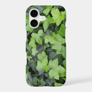 Green Ivy Botanical Print