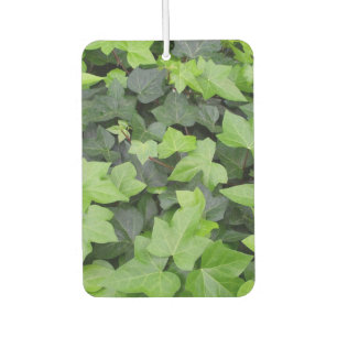 Green Ivy Botanical Print Car Air Freshener