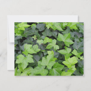 Green Ivy Botanical Print Card