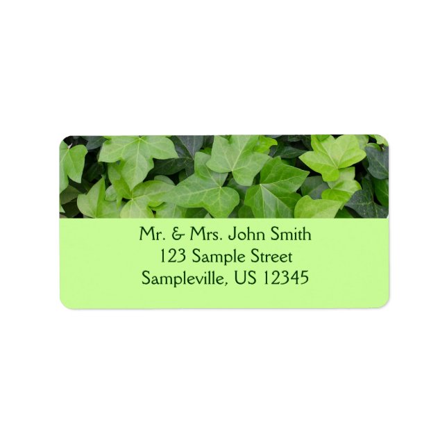 Green Ivy Botanical Print Label (Front)