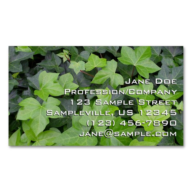 Green Ivy Botanical Print Magnetic Business Card (Front)