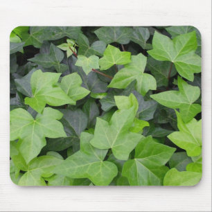Green Ivy Botanical Print Mouse Mat