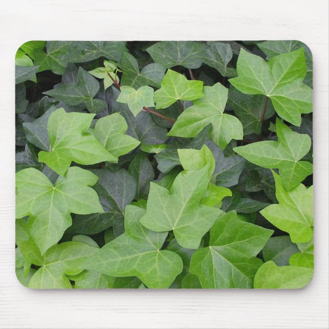 Green Ivy Botanical Print Mouse Mat (Front)