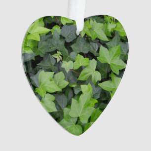 Green Ivy Botanical Print Ornament