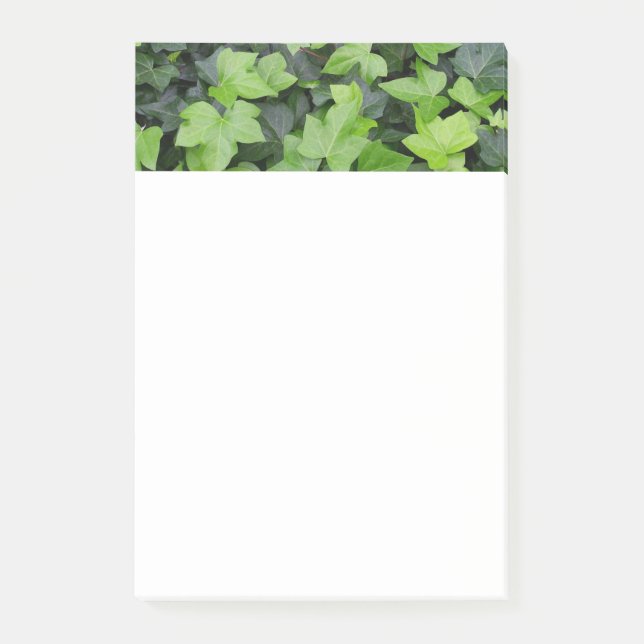 Green Ivy Botanical Print Post-it Notes (Front)