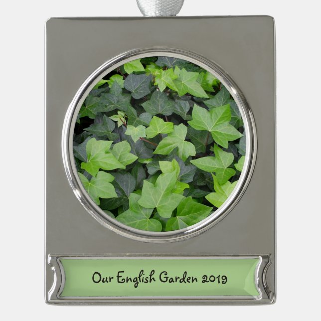 Green Ivy Botanical Print Silver Plated Banner Ornament (Front)