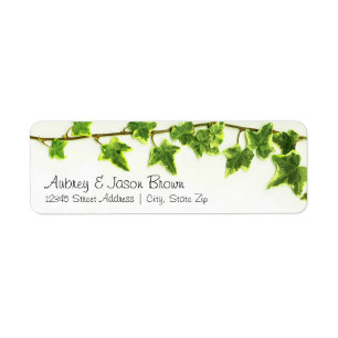 Green Ivy - Return Address Labels