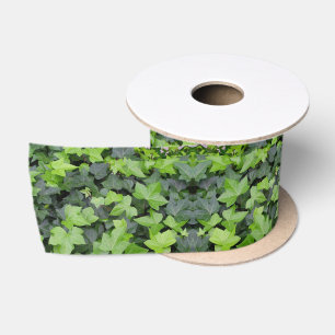 Green Ivy Satin Ribbon