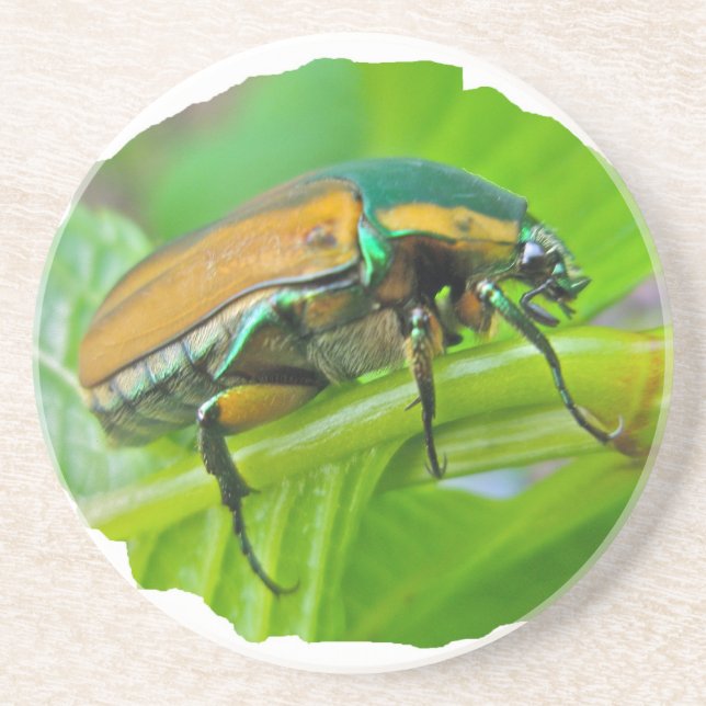 Green June Beetle Coaster (Front)