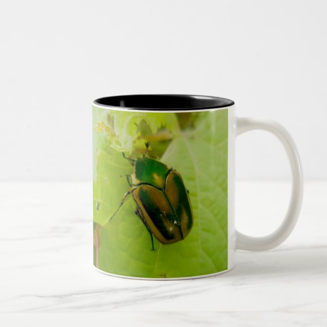 Green June Beetle Mug (Right)