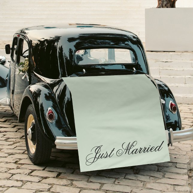Green Just Married Fabric Car Wedding Banner Sign Tapestry (Green Just Married Fabric Car Wedding Banner Sign Tapestry)