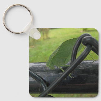Green Katydid on Black Fence Key Ring
