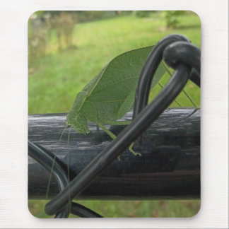Green Katydid on Black Fence Mouse Mat