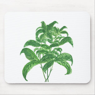 Green kitchen botanical plants herbs Basil Mouse Mat