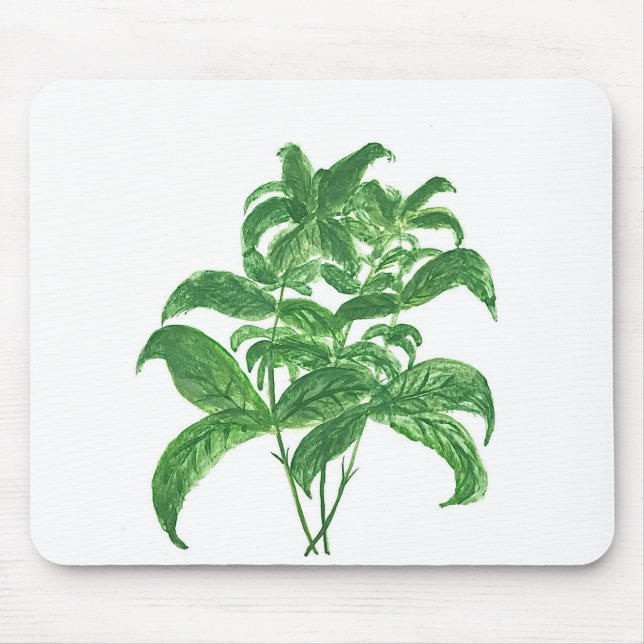 Green kitchen botanical plants herbs Basil Mouse Mat (Front)