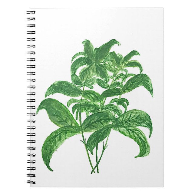 Green kitchen botanical plants herbs Basil Notebook (Front)