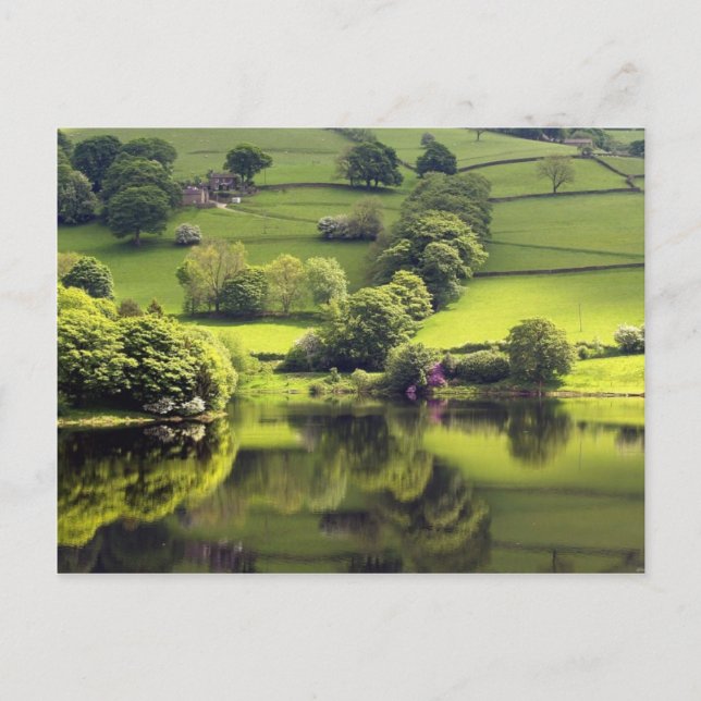 Green Lake Postcard (Front)