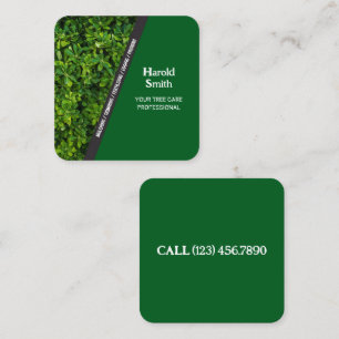 Green Lawn Care Business Card
