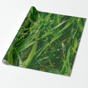 Green Lawn Care Service  Wrapping Paper