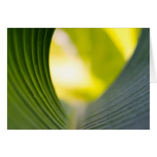 Green leaf (Front Horizontal)