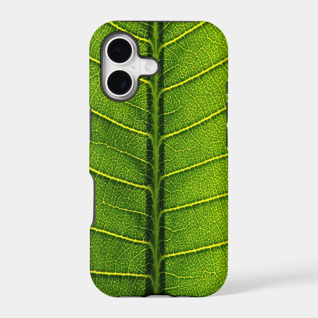 Green leaf (Back)