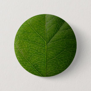 Green Leaf 6 Cm Round Badge